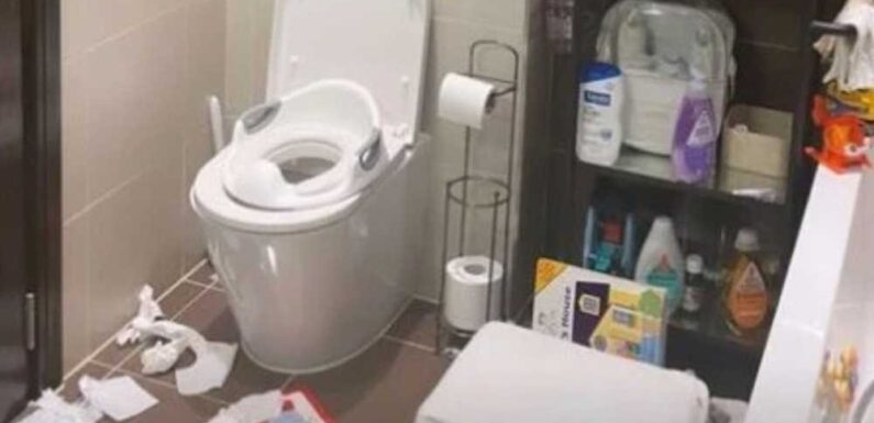 'Ugly' brown carpet, screwed-up loo roll & clutter – Inside celebs' messiest bathrooms | The Sun