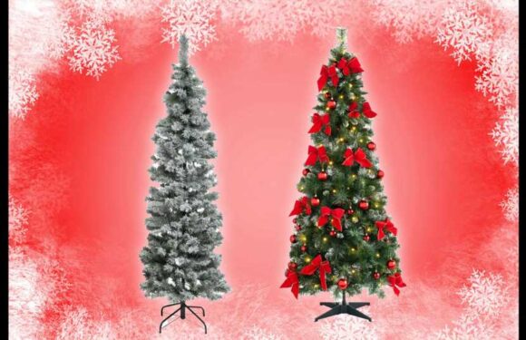 14 best pop-up Christmas trees 2023 UK: including decorated and pre-lit trees | The Sun