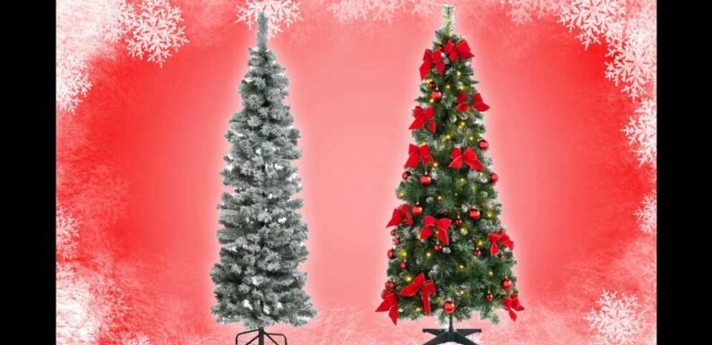 14 best pop-up Christmas trees 2023 UK: including decorated and pre-lit trees | The Sun