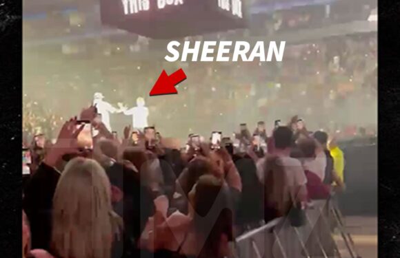 50 Cent Surprises 'Final Lap' Tour Fans With Ed Sheeran Performance