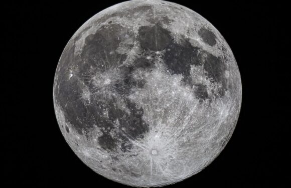 A British astronaut could walk on the surface of the moon by 2025