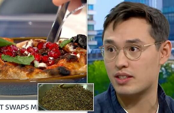 A London pop up restaurant is serving meals made from insects