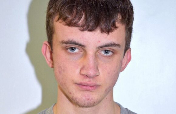 A-level student who shared instructions on how to make bombs jailed