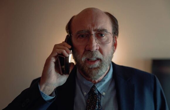 A wildly original and genuinely nightmarish comedy – Dream Scenario review