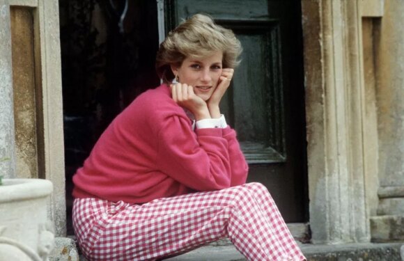 AI image of what Princess Diana ‘might look like’ today sparks outrage