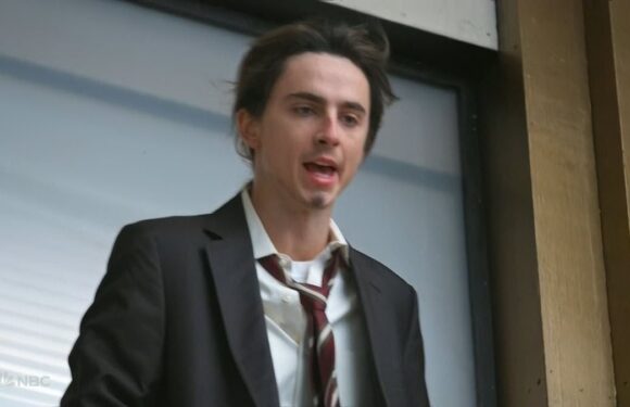 ALISON BOSHOFF: Will Timothee Chalamet SNL joke take a bite of Wonka?