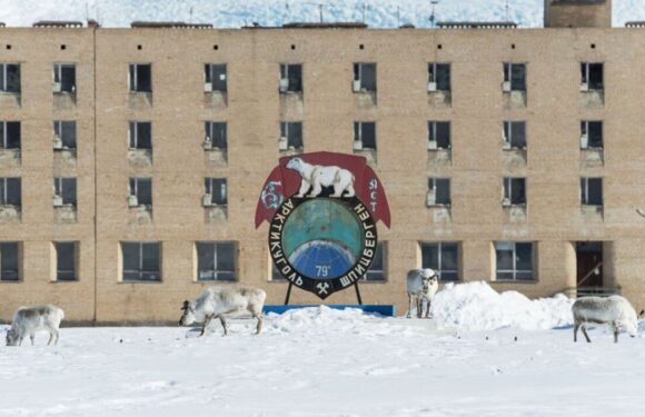 Abandoned Soviet town frozen in time taken over by polar bears