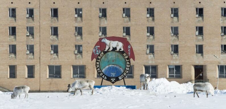 Abandoned Soviet town frozen in time taken over by polar bears