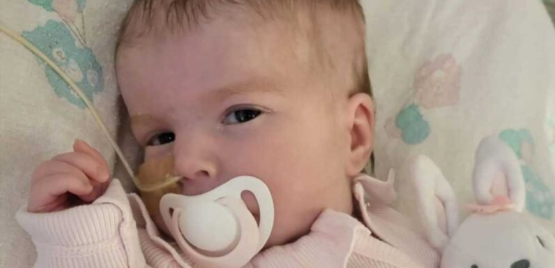 Agony for Indi Gregory’s family as critically ill baby's life support is turned off after heartbreaking legal battle | The Sun