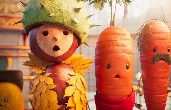 Aldi’s Xmas ad post sends shoppers wild after featuring ‘delightful’ surprise