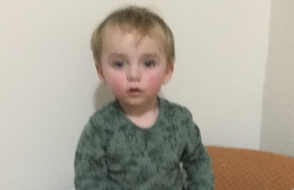 Alfie Phillips joins a tragic rollcall of children killed in lockdown