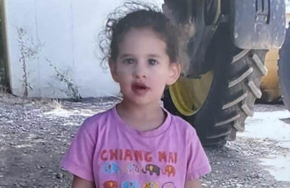 American girl, 3, and two US women expected to be RELEASED by Hamas