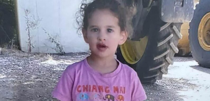 American girl, 3, and two US women expected to be RELEASED by Hamas