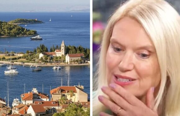 Anneka Rice admits she was arrested at Croatian airport for carrying live bullet