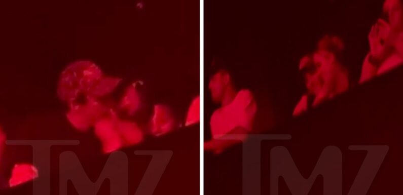 Ariana Grande Ex-Husband Dalton Gomez Makes Out with Maika Monroe at Concert