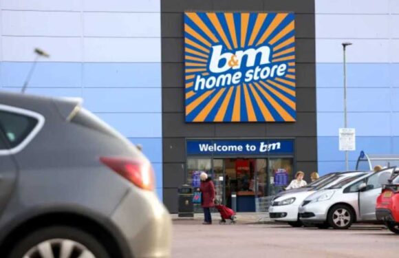 B&M extends opening hours at 247 stores from this week in run-up to Christmas – and fans say 'it’s a dream come true' | The Sun