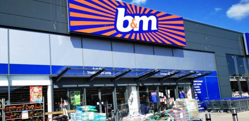 B&M shoppers go wild about new Cadbury flavour spotted on shelves and say it's 'heaven in a chocolate bar' | The Sun