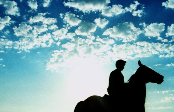 Bank account discovery in $100m Ponzi scheme probe