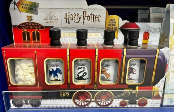 Bargain hunters scramble to nab cheap Harry Potter Christmas gifts from Card Factory – but you'll need to move fast | The Sun