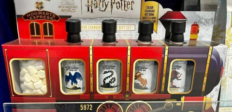 Bargain hunters scramble to nab cheap Harry Potter Christmas gifts from Card Factory – but you'll need to move fast | The Sun