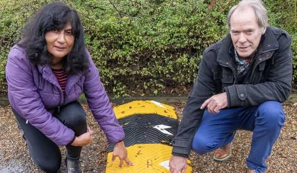 Battle of the speed bumps! Locals at war over traffic-calming upgrade