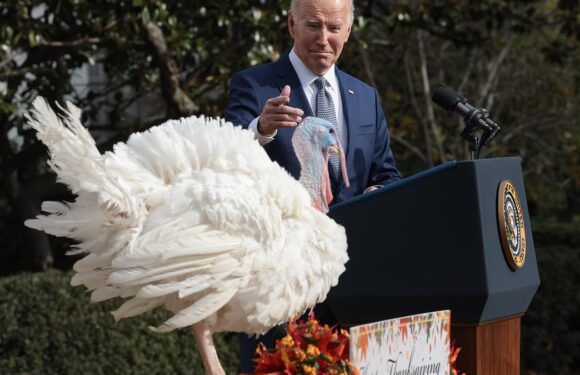 Biden says Israel and Hamas ARE close to deal to release hostages