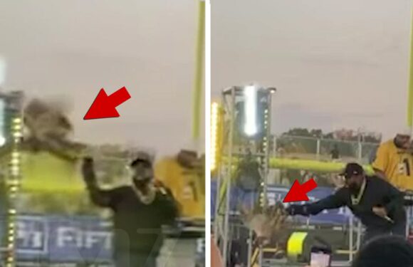 Big Boi Has Mishap with Live Owl During College Football Performance
