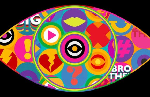 Big Brother stars reveal plans to quit fame and go back to their day job less than 24 hours after eviction | The Sun