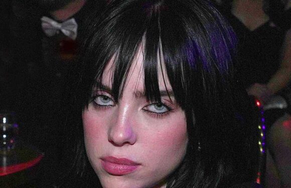 Billie Eilish Files For Restraining Order Against Man She Says Threatened Family