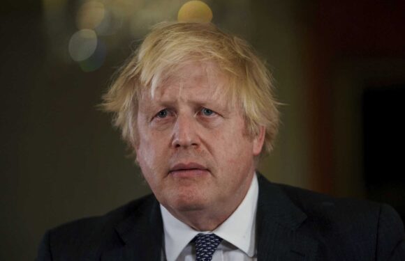 Boris Johnson asked UK's top doctor 'if Brits could cure Covid by blowing hairdryer up their nose', inquiry reveals | The Sun