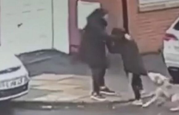 Boy, 12, bitten by XL Bully in horror attack as he walked down the street