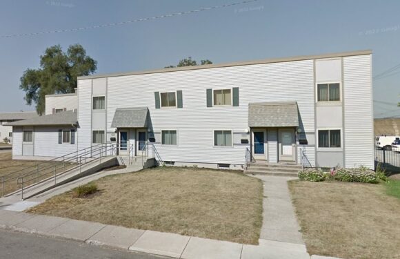 Boy, 3, fatally shoots brother, 2, after finding gun in mother's purse