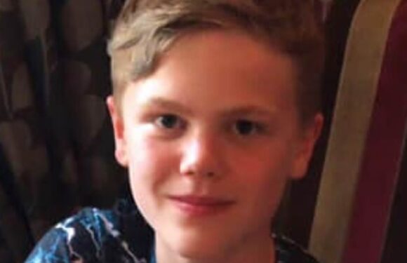 Boy found hanged in woods did not intend to kill himself, inquest told
