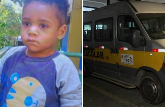 Brazilian boy, 2, dies after being left in hot school van