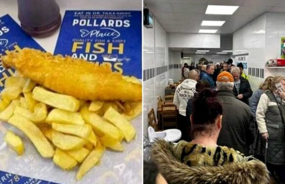 Britain’s ‘cheapest’ fish and chips on sale for just 99p – with hungry customers queuing for hours to get their fill – The Sun | The Sun