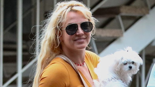 Britney Spears Seen Out in Public for First Time Since Memoir Release