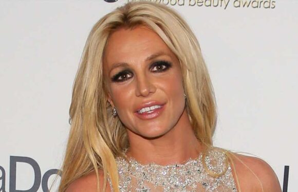 Britney Spears posts then quickly deletes video pole dancing in super tiny bikini with mystery man | The Sun