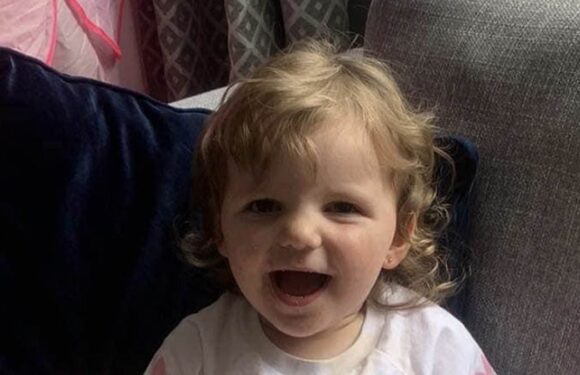 Brute, 25, shook girlfriend's baby to death after benefits were cut