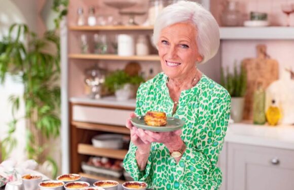 CHRISTOPHER STEVENS: Mary Makes It Easy review