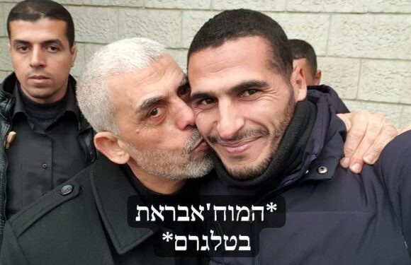 CNN fires freelance photojournalist who was embedded with Hamas