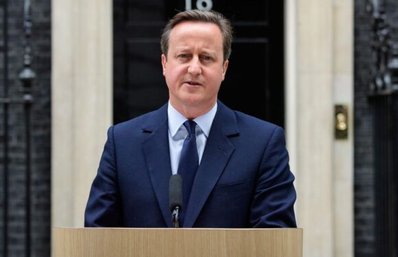 Cameron comeback as Foreign Sec ‘like a relegation side calling for Allardyce’