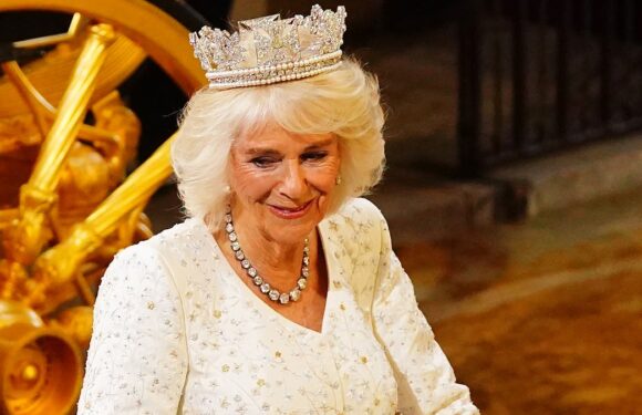 Camilla rewears her coronation gown to state opening of parliament