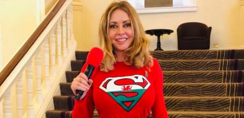 Carol Vorderman AXED from BBC radio show after bitter row over social media posts | The Sun