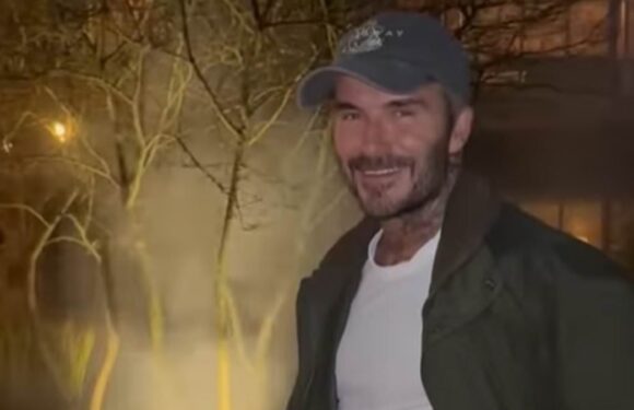 Celebrities enjoying their firework festivities for Bonfire Night