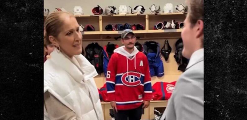 Celine Dion Makes First Appearance in 3 1/2 Years at Las Vegas Hockey Game