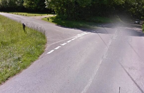 Child dies in horror Surrey car crash