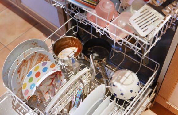 Cleaning influencer’s ‘amazing’ method deep cleans dishwashers without chemicals