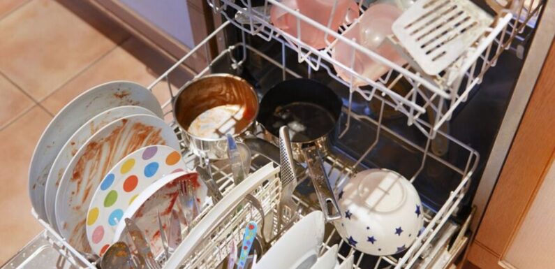 Cleaning influencer’s ‘amazing’ method deep cleans dishwashers without chemicals