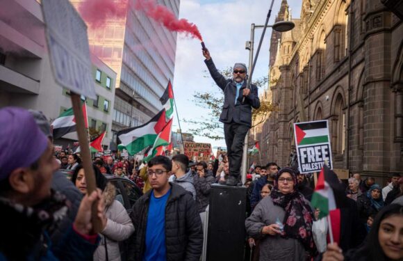 Cops urge pro-Palestine protesters to 'urgently reconsider' Remembrance Sunday march over fears of escalating violence | The Sun