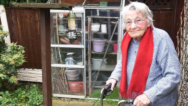 Council threatens to fine pensioner for feeding birds in back garden